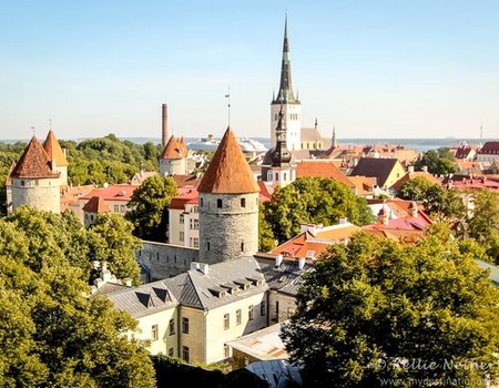 Circuit Merveilleux et secrets pays baltes - 4
