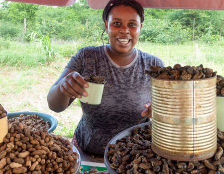 Road Trip Toute l'Afrique du Sud - 4