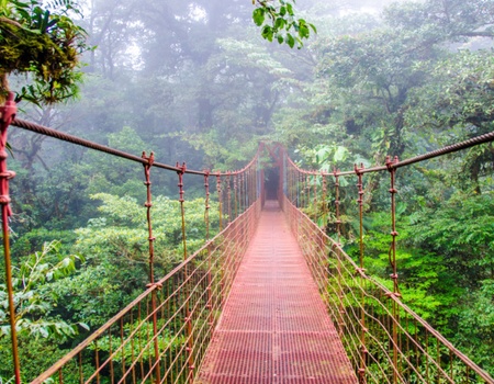 Balade en liberté - Forêt tropicale et plage ensoleillée - San Jose, Costa Rica - Image 5