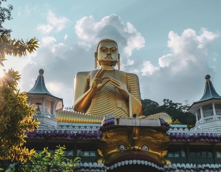 Circuit L'odyssée sri lankaise : l'île aux mille visages - 5