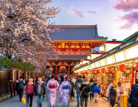 Circuit individuel : Le Japon et l'art du savoir-faire - - Osaka, Japon - Image 4