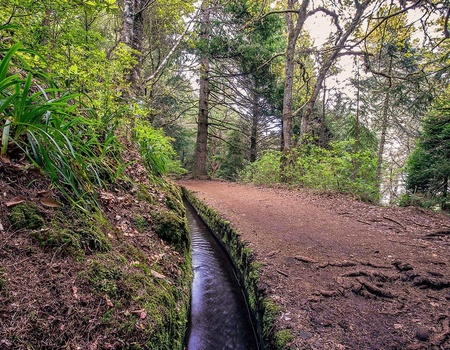 Circuit Echappée Sentiers de Madère depuis le Madeira Panoramico 4* - 5