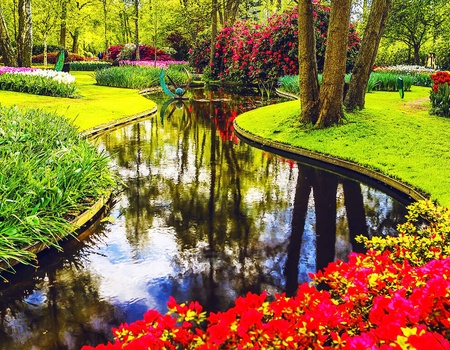 Confort et convivialité à Haarlem avec visite du Keukenhof - 3* - 1