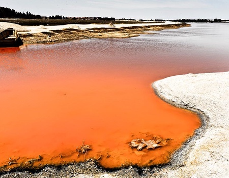 Combiné Circuit Merveilles du Sénégal 3* et Ôclub Experience African Village Bougainvillées 3* - 4