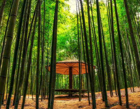 Circuit Corée Authentique, de Séoul au Village Hanok de Jeonju - 1