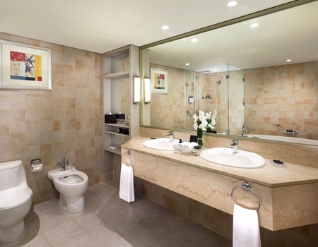 Hôtel Beach Rotana Abu Dhabi 5* - 5