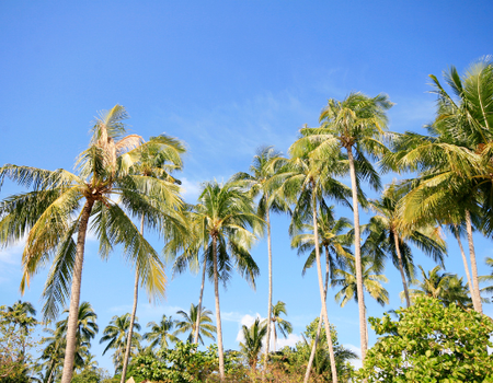 Circuit Grand tour de Thaïlande et plage à Koh Chang 4* - 1