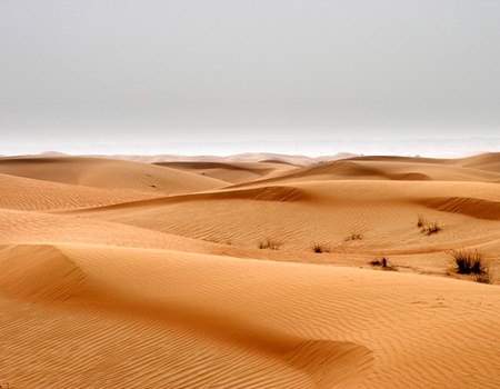 Club Framissima Évasion Riu Dubai avec activités incluses **** - 3