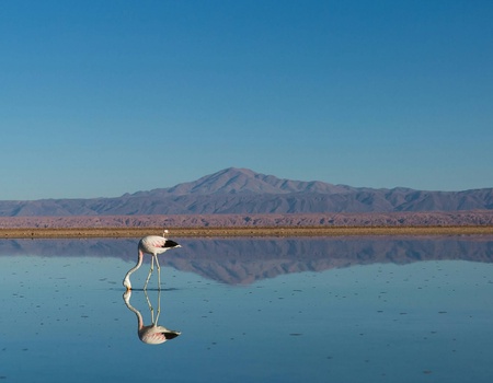 Circuit De l'infini d'Atacama aux légendes d'île de Pâques