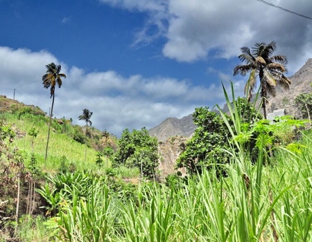 Circuit Mix Découverte/Randonnée Sao Vicente / Santo Antao - 4