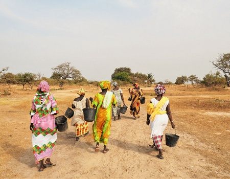Circuit Chez les femmes du delta du Saloum