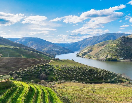 Croisière Échappée Belle sur le Douro : De Porto à la Vallée dOr - 4