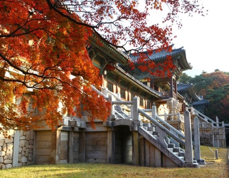 Héritage et effervescence en Corée du Sud - Seoul, Corée du Sud - Image 5