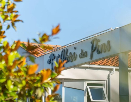 Camping L'Abri des Pins, 4* - 5