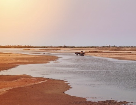 Circuit Beautés du Sénégal et balade avec les lions de Fathala - 3