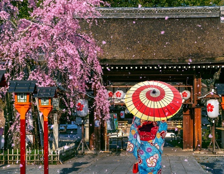 Circuit individuel : Le Japon et l'art du savoir-faire - - Osaka, Japon - Image 1