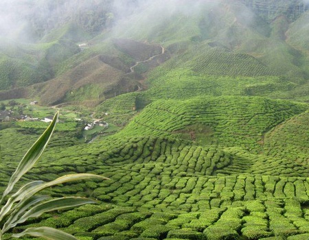 Circuit Ame Authentique De La Malaisie Et Séjour Balnéaire en Thaïlande Au Club Coralia Le Menara Khao Lak 5* - 5