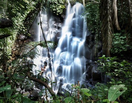 Circuit Déesse des Îles et Plage... Bali for Women Only - 4
