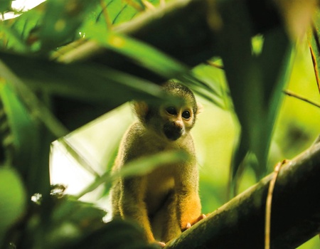 Circuit Sur la trace des Incas : de la Vallée Sacrée à l'Amazonie - 3