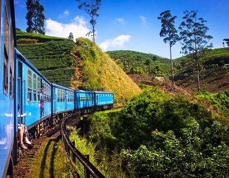 Circuit privé Balade Sri Lankaise 4* avec extension à Bentota - 5