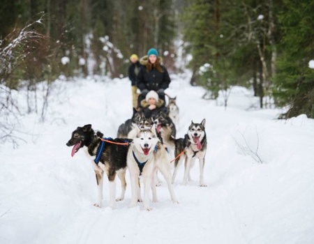 Séjour accompagné Multi-activités à Rovaniemi - Rovaniemi, Finlande - Image 4