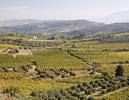 Circuit Découverte et détente en Crète - 4