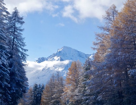 VVF Val-Cenis Haute-Maurienne 3* - 3