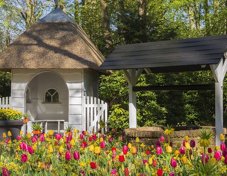 Séjour confortable à Amsterdam avec accès à Keukenhof ! - 3* - 1