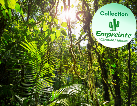 Circuit Jungle et Forêt au Pays de l'Or Noir - 1