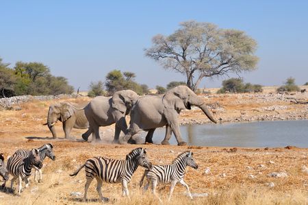 Splendeurs de Namibie & Extension Fish River Canyon & Chutes Victoria 17J/14N - 2025