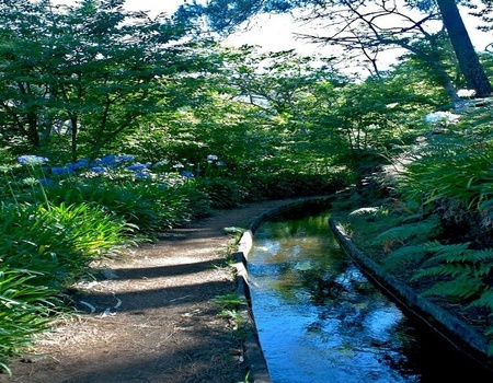 Circuit balade à Madère 2025/2026 - 5