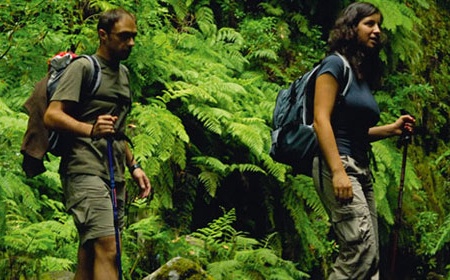 Madère Saveur Rando 5* - Madère - 5