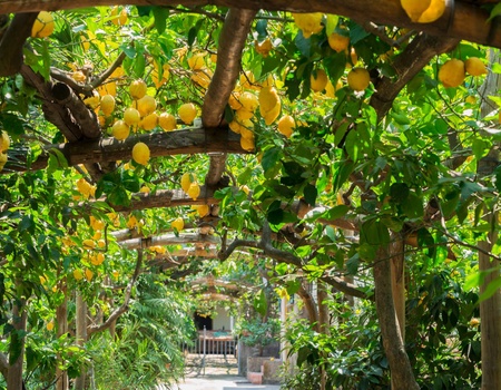 Circuit Cap sur Naples et les Pouilles - 8J/7N - Limité à 38 participants - 2026 - 2