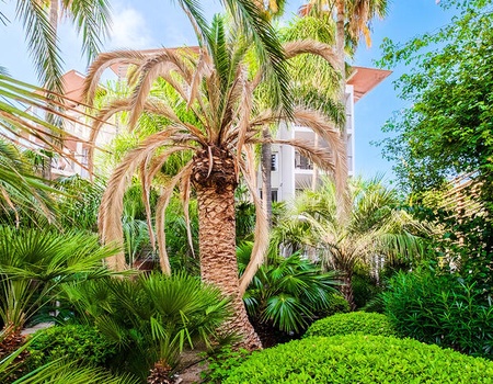 Résidence Pierre & Vacances Premium Port-Prestige 4* - Alpes-Maritimes - Antibes, Côte d'Azur - Image 2