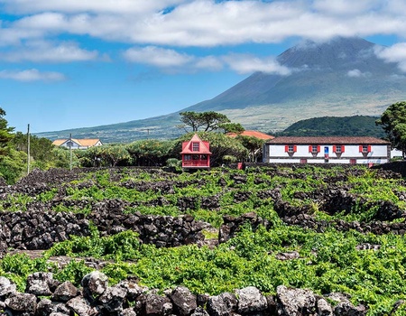 Circuit L'essentiel des Açores