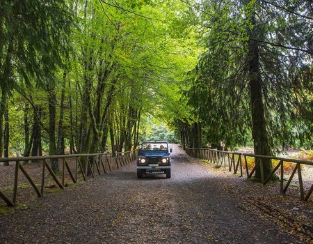 Circuit Echappée entre terre et mer depuis l'hôtel Dreams Madeira Resort Spa & Marina5* - 3