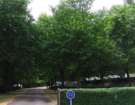 Camping du lac Pouzauges, 3* - 2