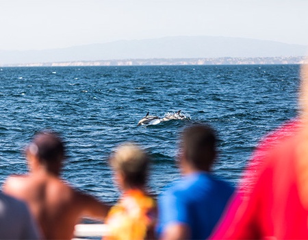 Circuit Douceur Océane d'Algarve **** - 3