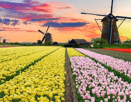 Découvrez Amsterdam et le coloré Keukenhof - 3* - 1