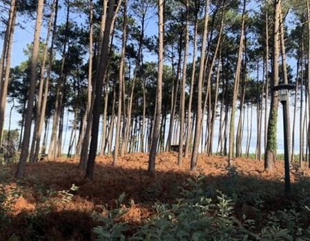 Camping L'Orée des Landes 3* - Landes - Onesse-et-Laharie, Atlantique Sud - Image 3