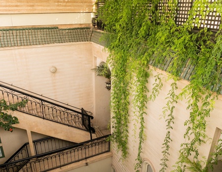 Riad Hasna Espi - 5