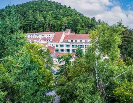 Excursion près de Colmar comprenant 2 jours d'accès à Europa Park - 4* - 2