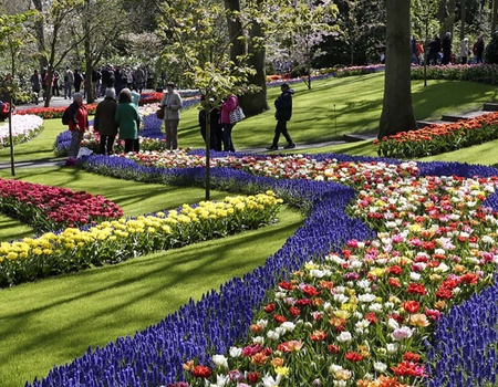 City-trip à Utrecht : détente et Keukenhof - 4* - 1
