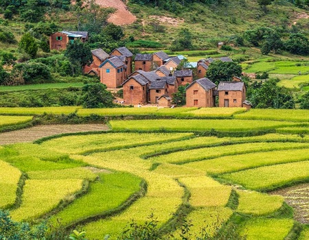 Circuit Madagascar Nature - 2