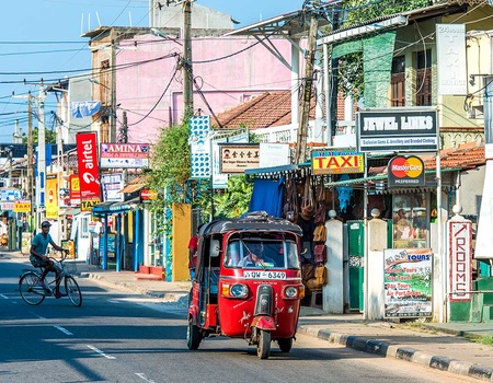 Circuit Découverte et détente au Sri Lanka - 4
