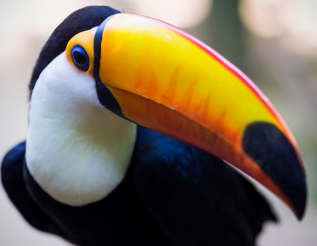 Circuit Aventure Argentine : de la Terre de Feu aux Chutes d'Iguaçu - 1