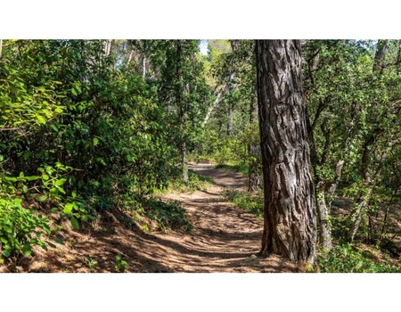 Entre lavande et montagnes : Vacances au Ventoux (2 nuits) - 3* - 4