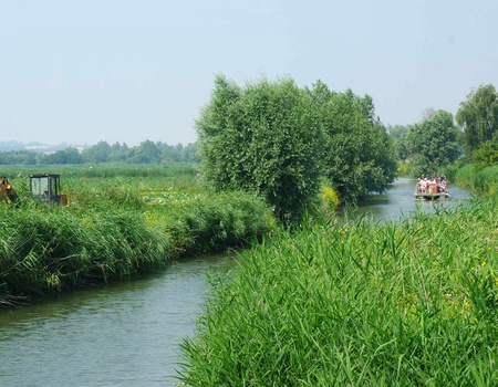 Découverte en bateau des trésors naturels du Marais Audomarois - 3*