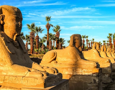 Combiné Découvertes du Caire et du Nil 5* - 2027 - 9J/7N - Bassin Méditerranéen, Egypte, Le Caire - Image 1