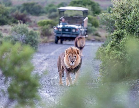 Le Grand Tour d'Afrique du Sud, sur les traces de Nelson Mandela - 4